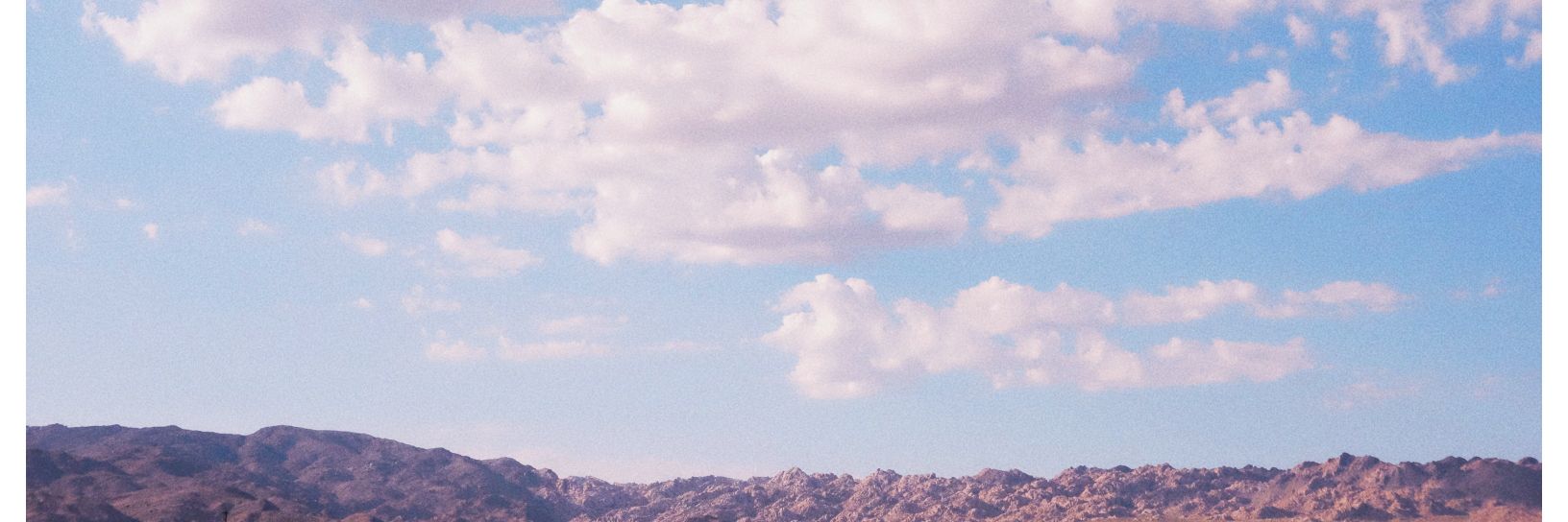 CupOfBails's profile banner image