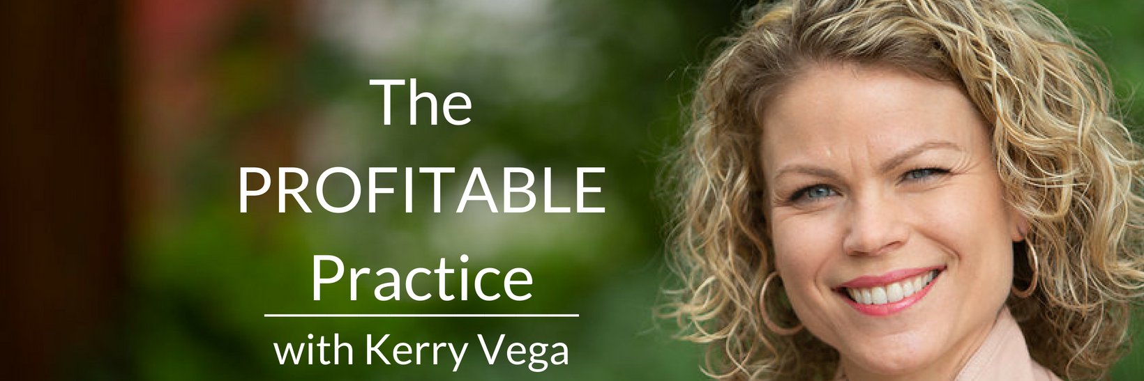 KerryVegaGroup's profile banner image