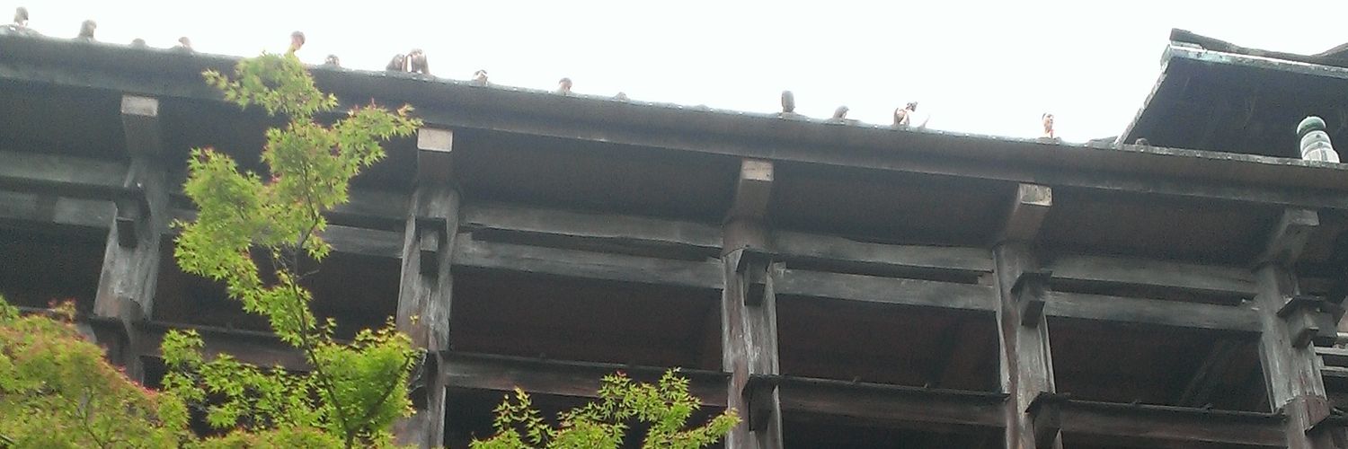 MkRyunosuke's profile banner image