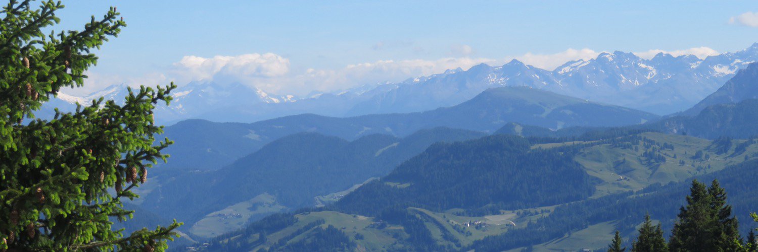 AlisonWates1's profile banner image