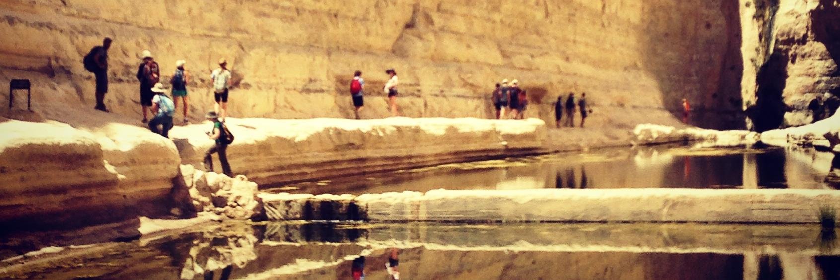 Bronfman Fellowship banner