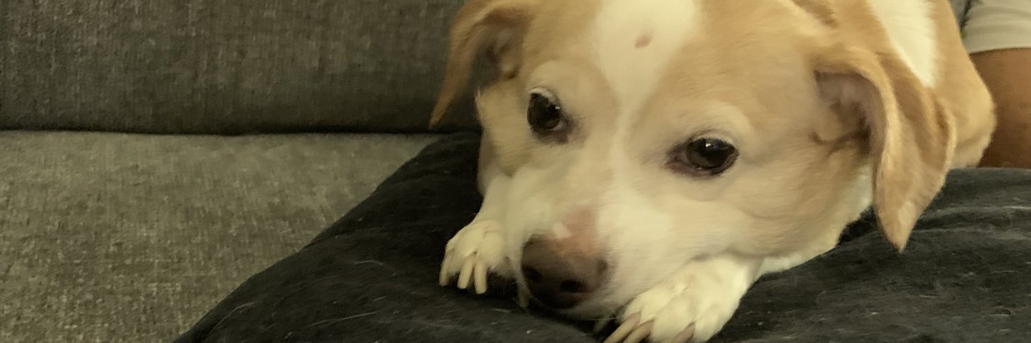 BOLDERBOO's profile banner image