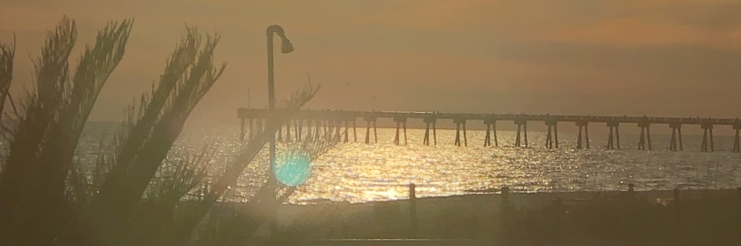 Pam Kesselring banner