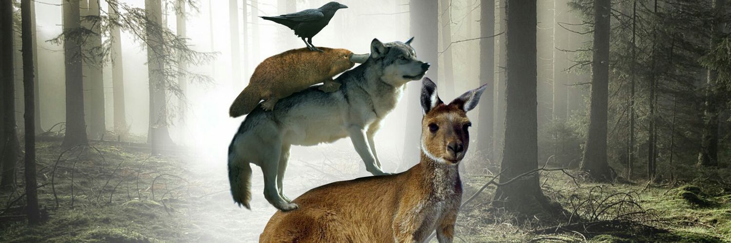 Michaela_ckm's profile banner image