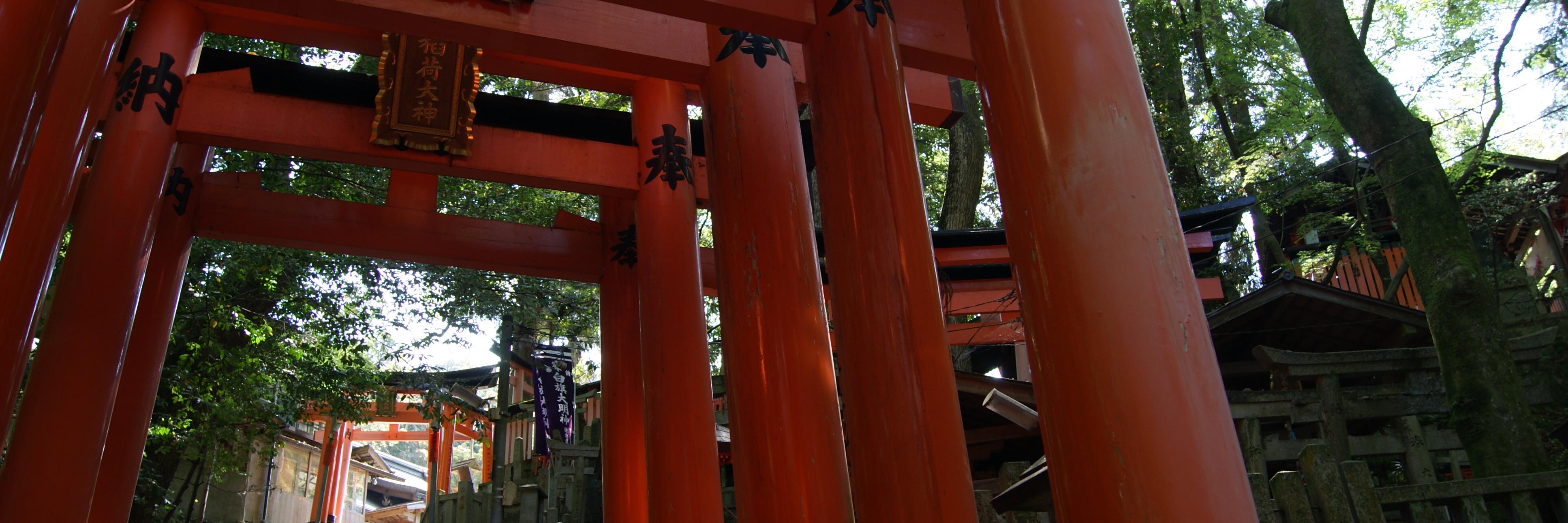 Jennifer Russell banner