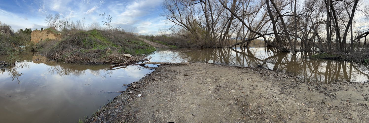 Synthetic Steve banner