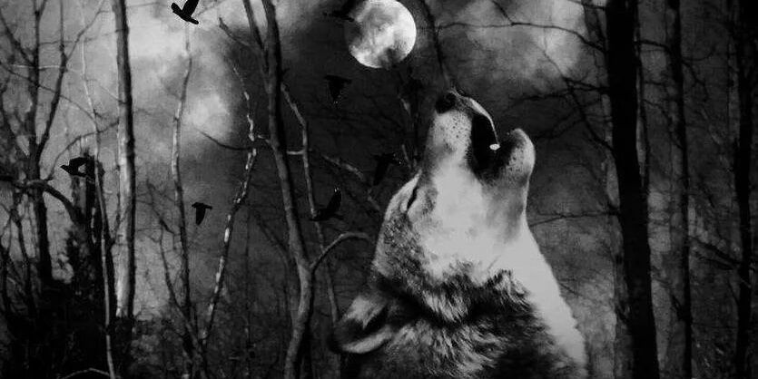 inti_lykan's profile banner image