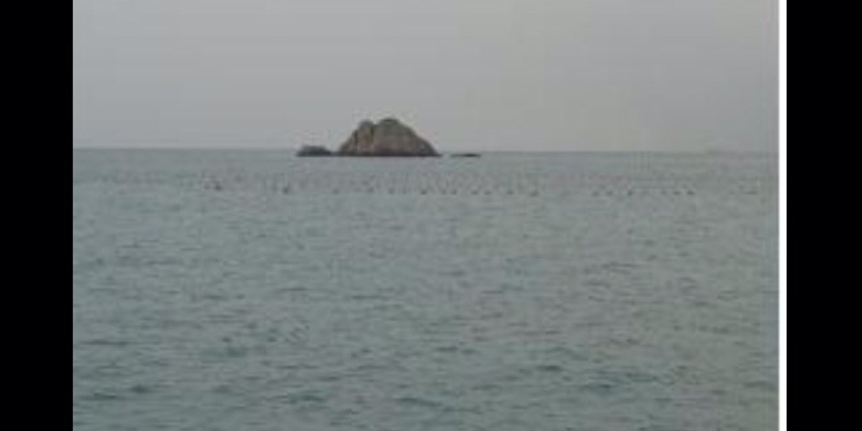 boribori0022's profile banner image