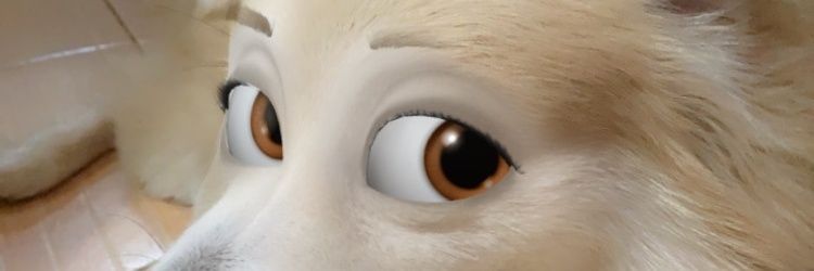 quesocarls's profile banner image