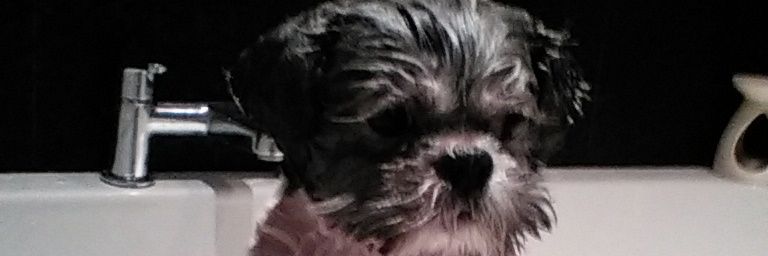 allison02412165's profile banner image