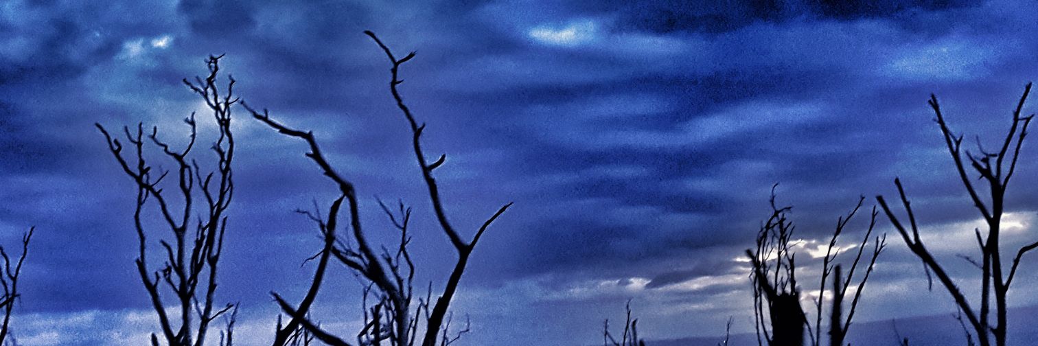 abbeychox's profile banner image