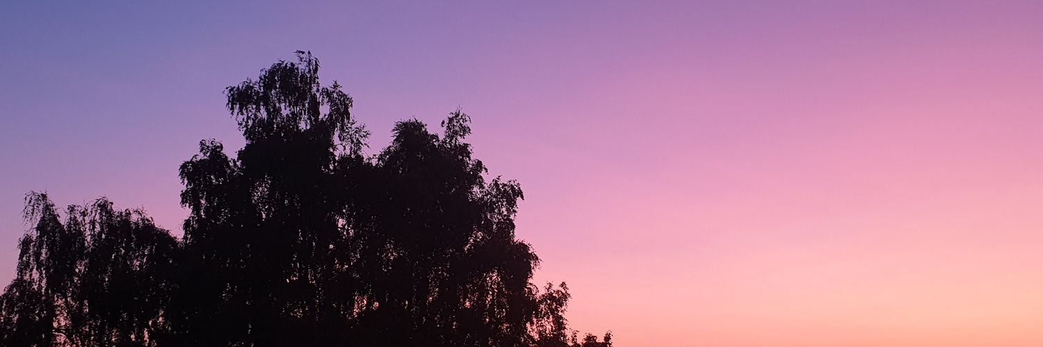 LiiiLily's profile banner image