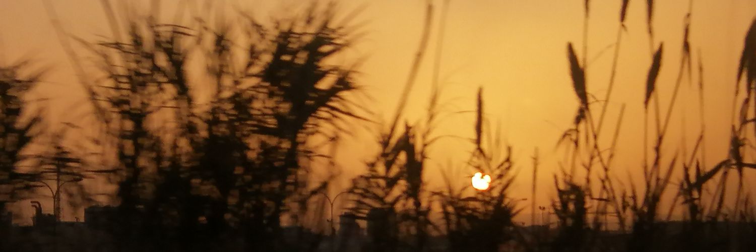 Genís C. Sick banner