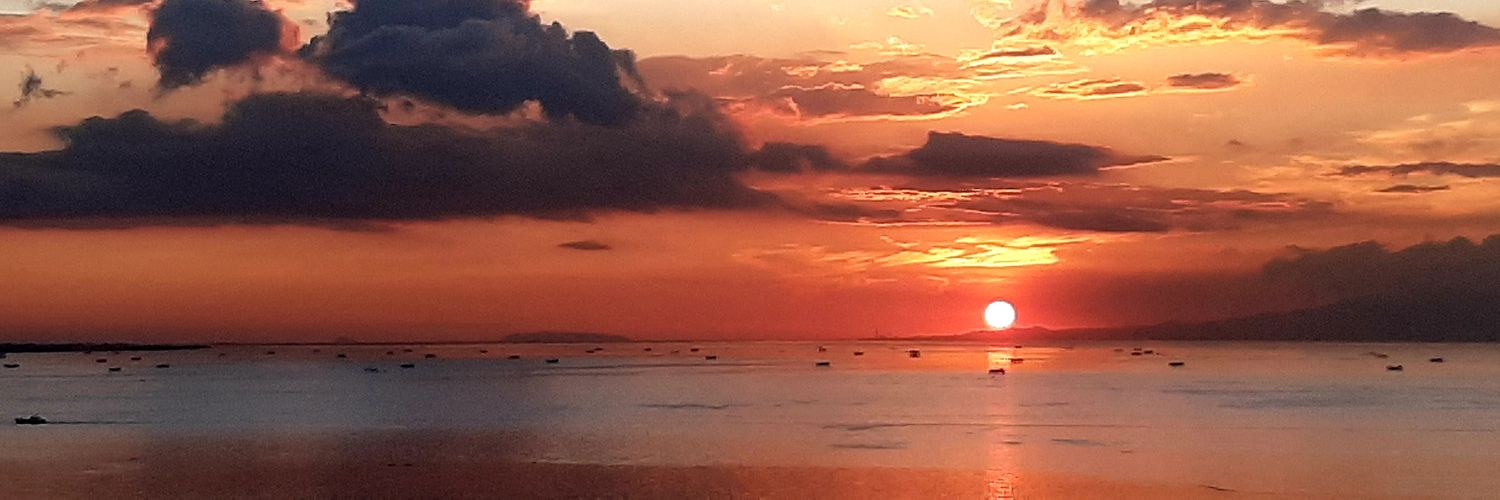 ascphil's profile banner image