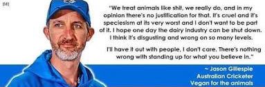 brandonvidler's profile banner image