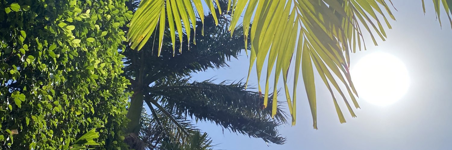 Steffen Tjerrild banner