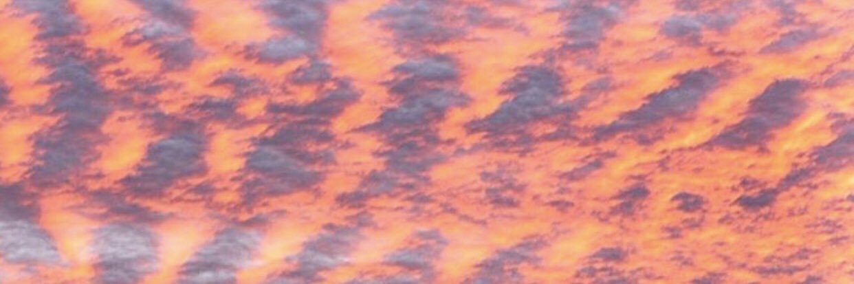 TippyTopWH's profile banner image