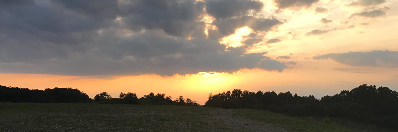 JonDickenson's profile banner image