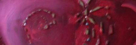 babette2671's profile banner image