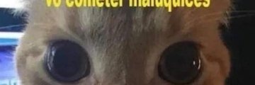 Nquequero's profile banner image