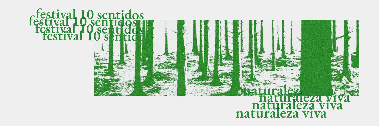 Festival 10 Sentidos banner