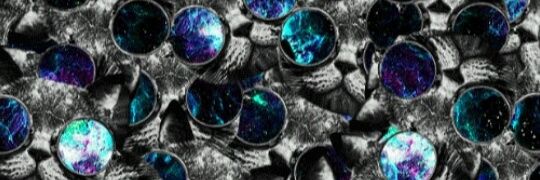 Avx25X's profile banner image