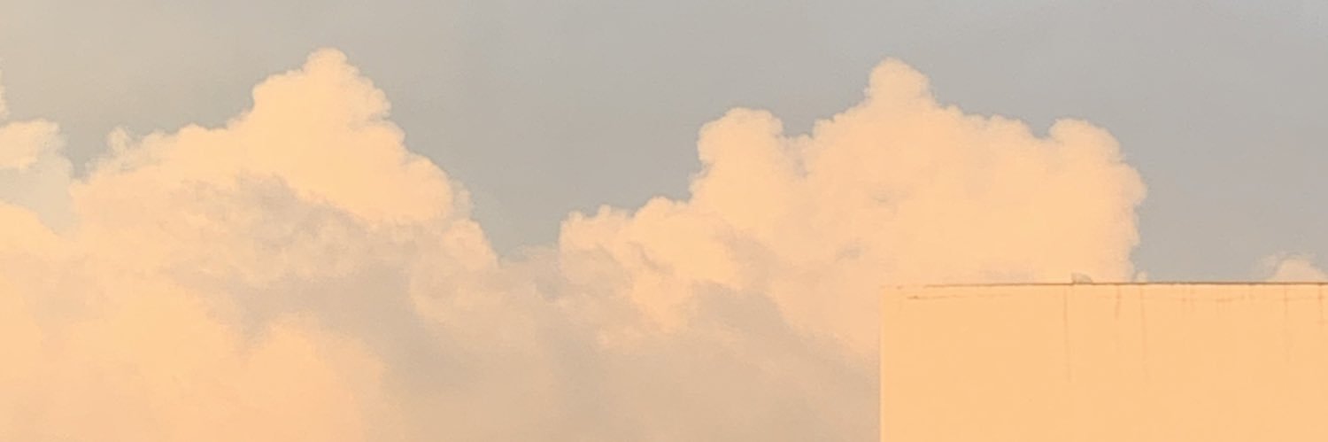 lmacchiatoonl's profile banner image