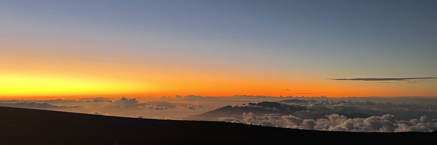 Anita Max Wynn banner