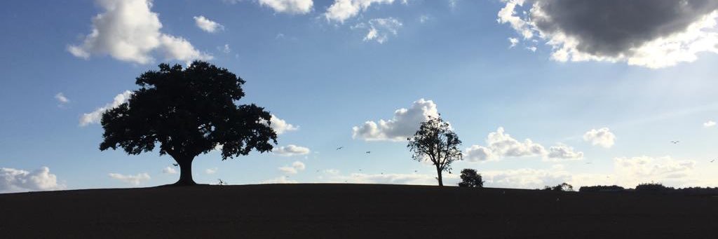 sallcoll's profile banner image