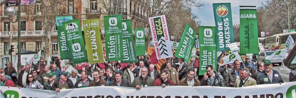 UniondeUniones Profile Banner