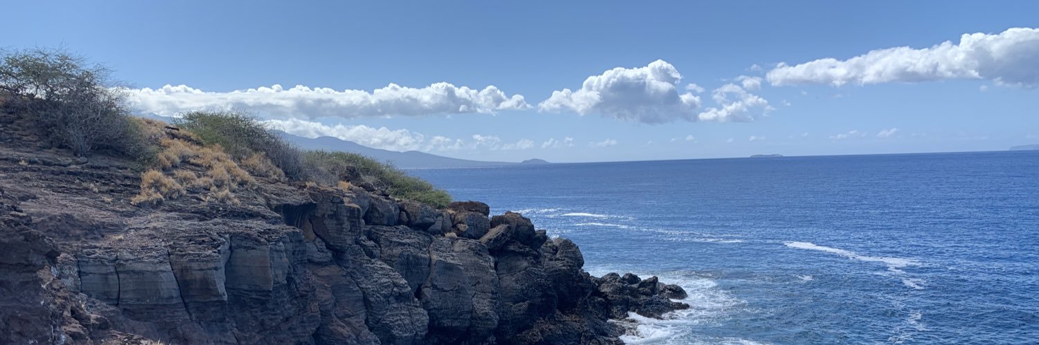 prokerryotic's profile banner image
