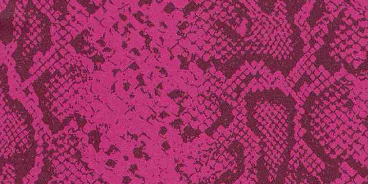 Sarah Firebrand banner