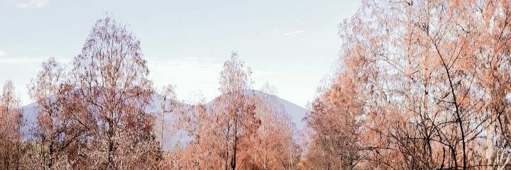 sheilandhinp's profile banner image