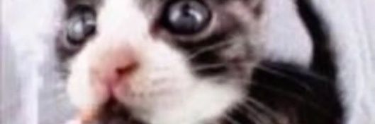 cyberfunkk's profile banner image