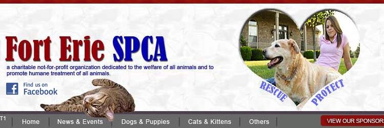 forteriespca's profile banner image