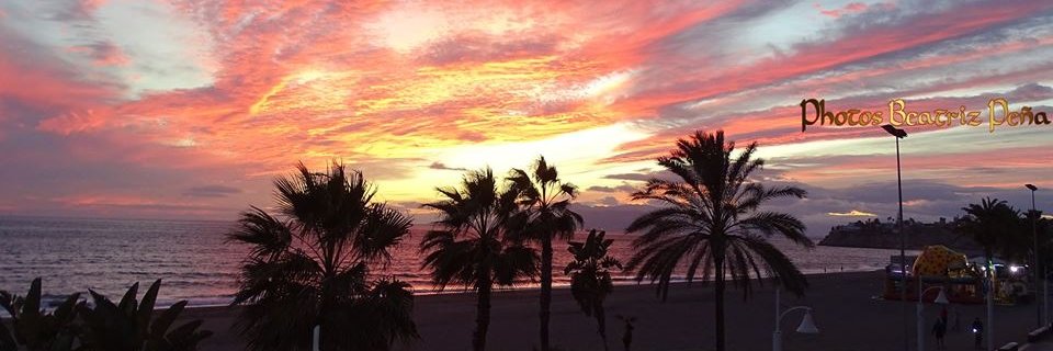 frabedala's profile banner image