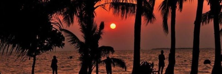 F I R S E L L A banner