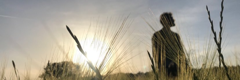 tunceko's profile banner image
