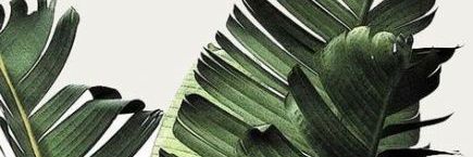 nurluthfi98's profile banner image