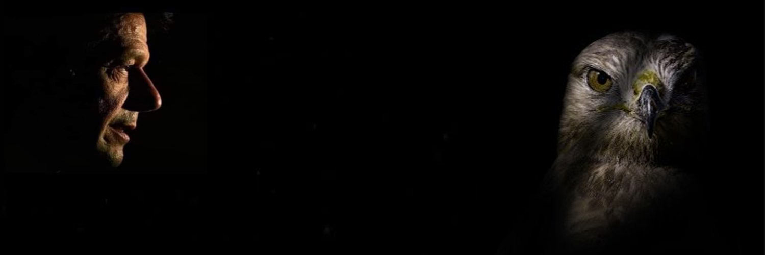 somi177's profile banner image