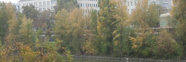 mujerextranjera Profile Banner