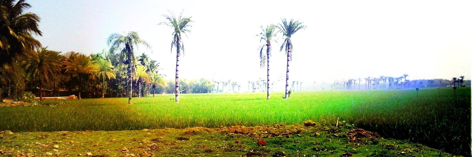 monir_jes's profile banner image