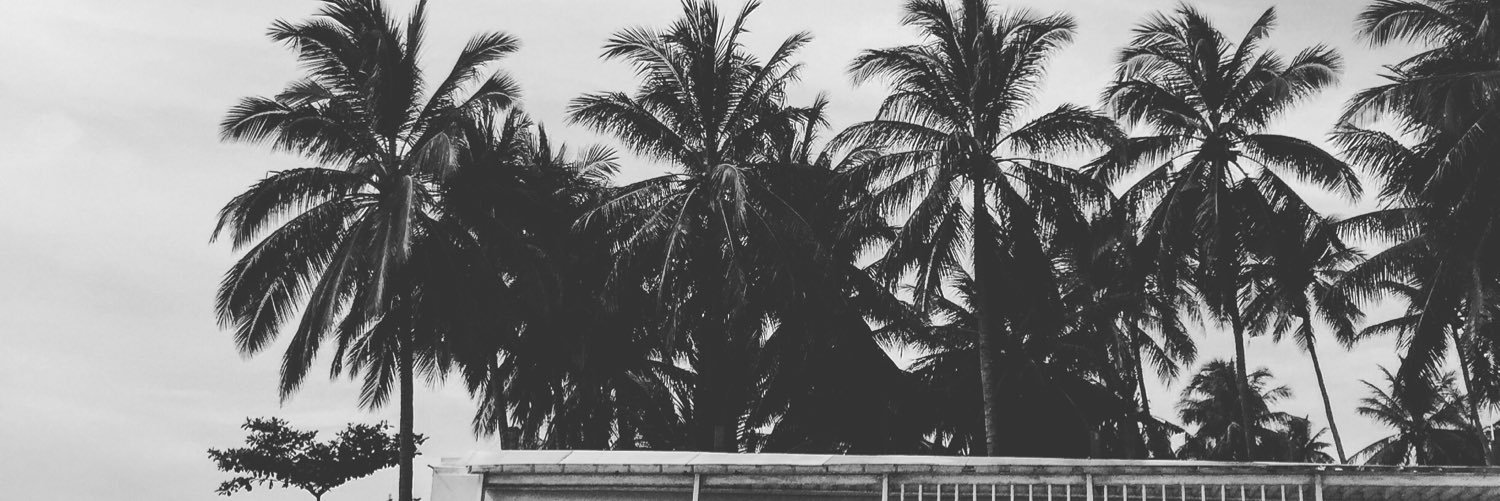 ronjaosterberg's profile banner image