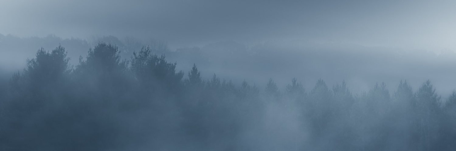 Moonlight_Gloom's profile banner image