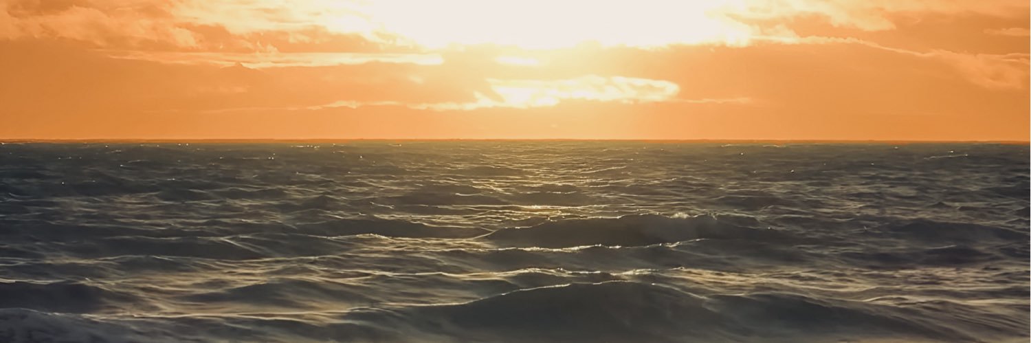 iamjosephrose's profile banner image