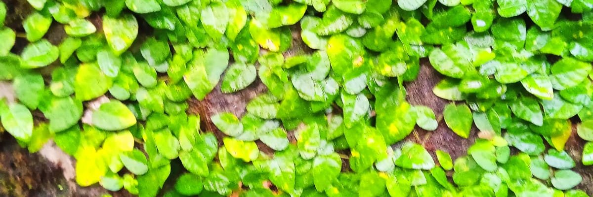 JBinduraj1's profile banner image