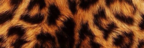 milhamsam_'s profile banner image