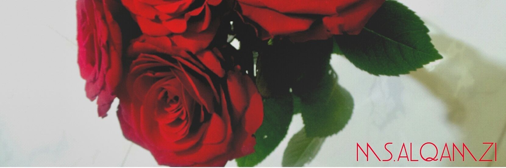 rose_lj's profile banner image