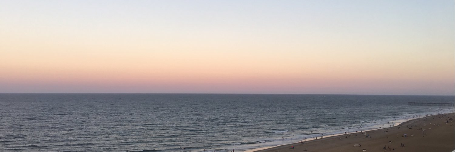 Karen Chaplin banner