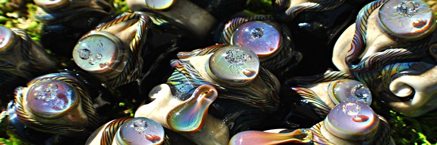 Thirdeyegypsy's profile banner image